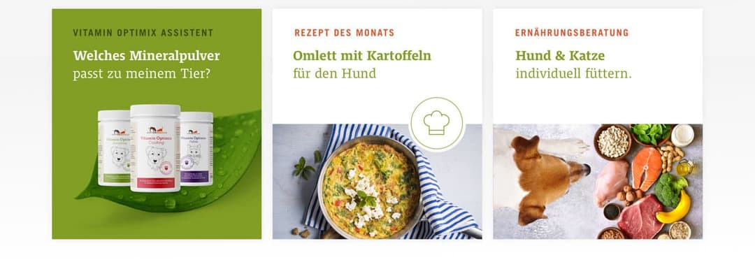 Erlebniswelt Teaser Boxen