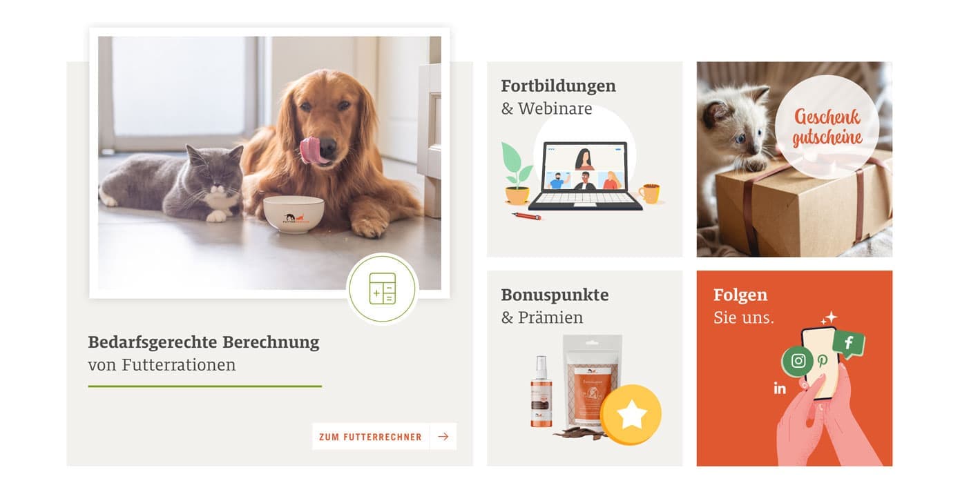 Ungleiche Grid Aufteilung